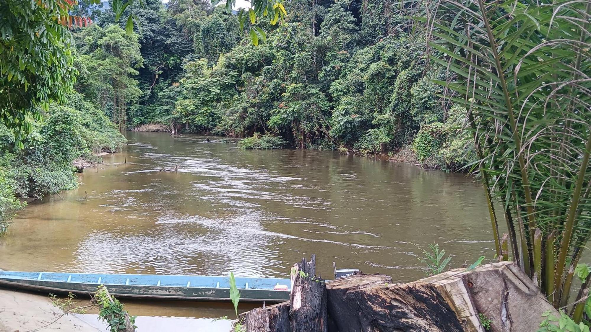 Mulu Tribal Homestay Екстер'єр фото